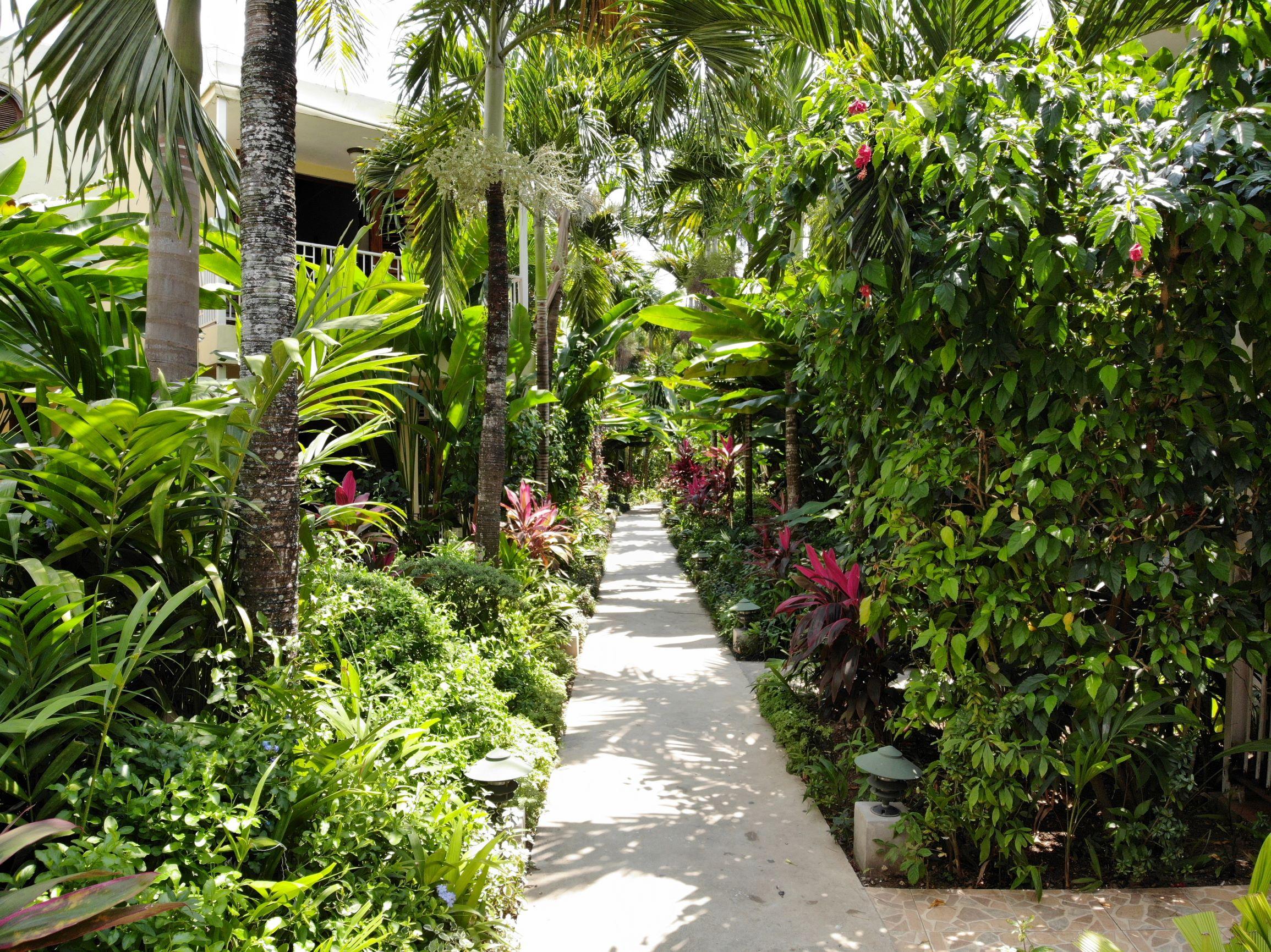 Negril Palms Hotel Luaran gambar