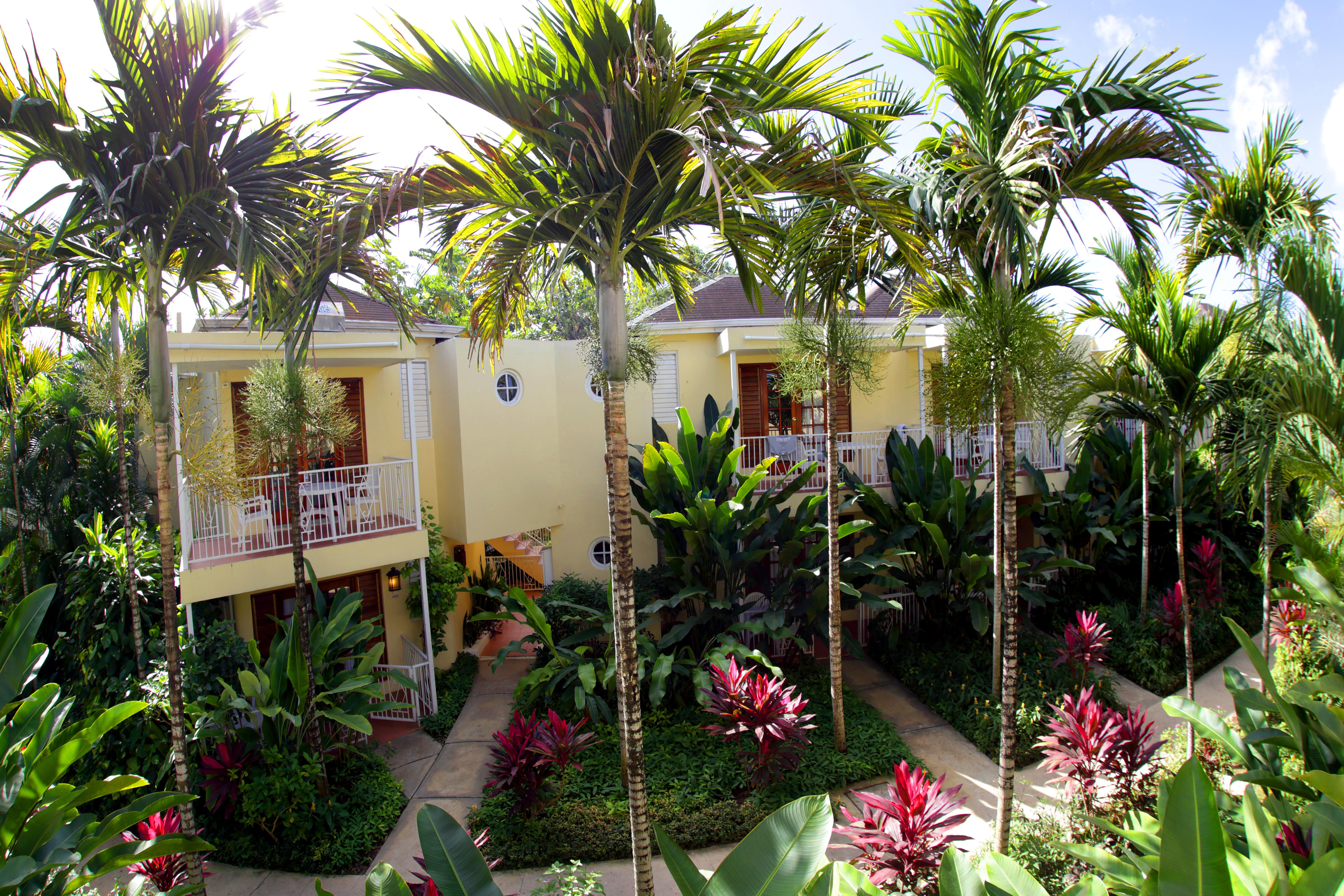 Negril Palms Hotel Luaran gambar