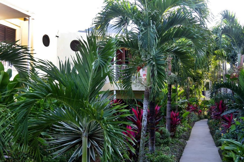 Negril Palms Hotel Luaran gambar