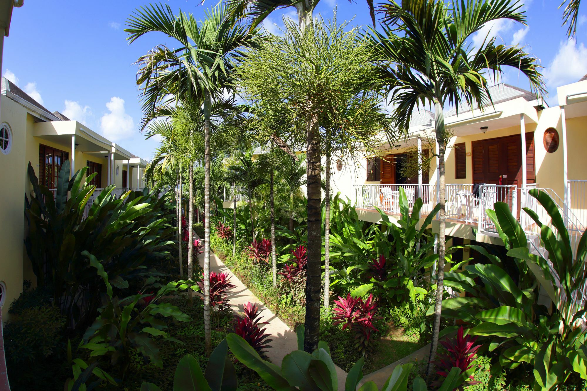 Negril Palms Hotel Luaran gambar